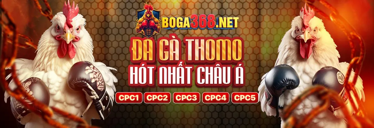 Tổng quan nền tảng Ricwin với các tính năng bảo mật và game đa dạng