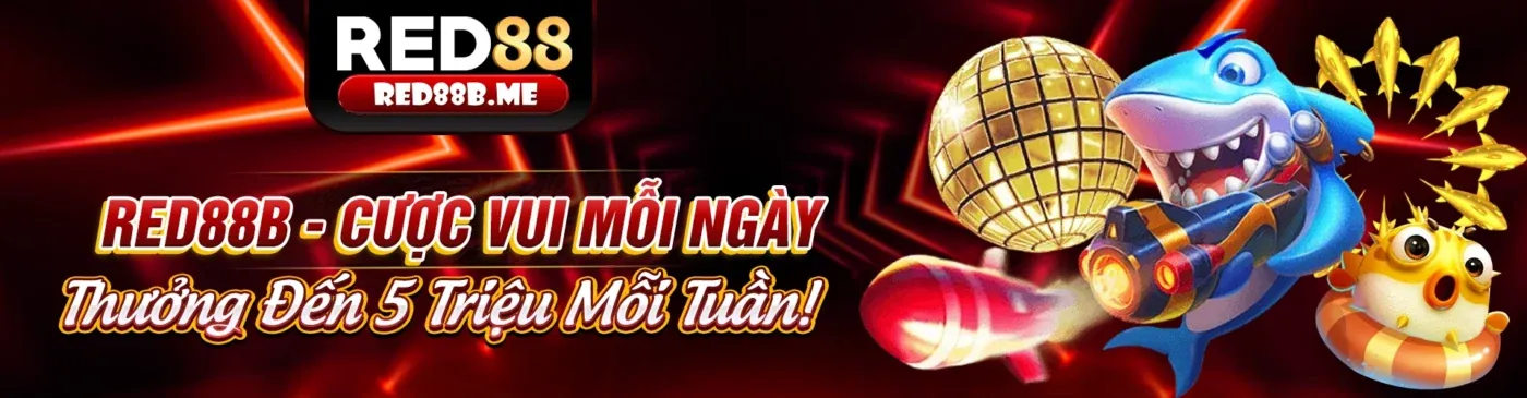Các chương trình khuyến mãi hấp dẫn của Ricwin