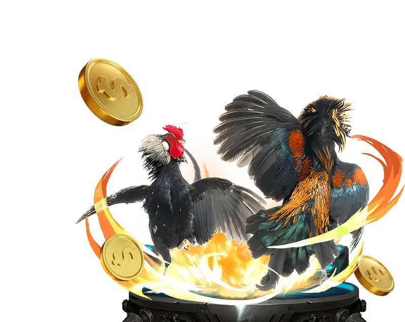 Hướng dẫn và mẹo chơi game Ricwin